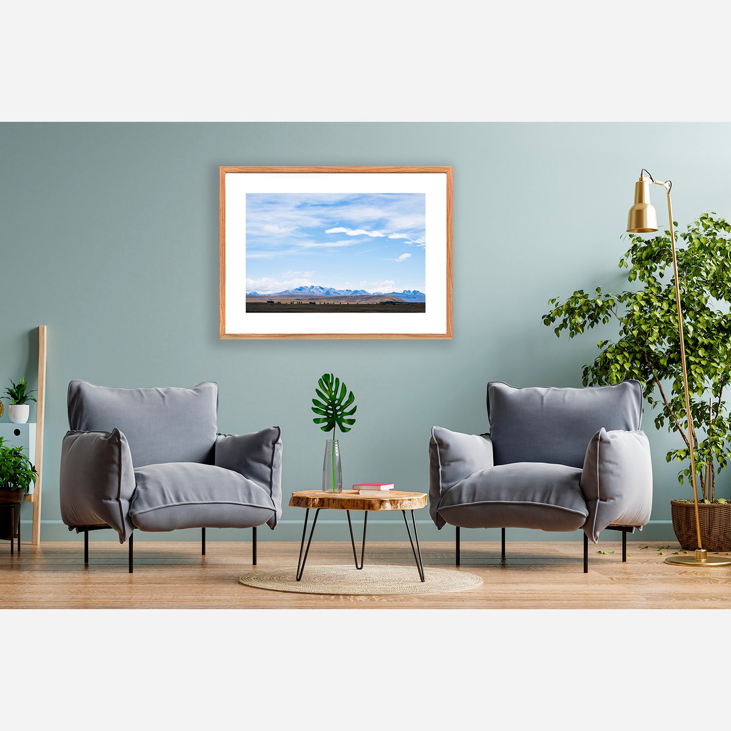 Mackenzie Region - South Island