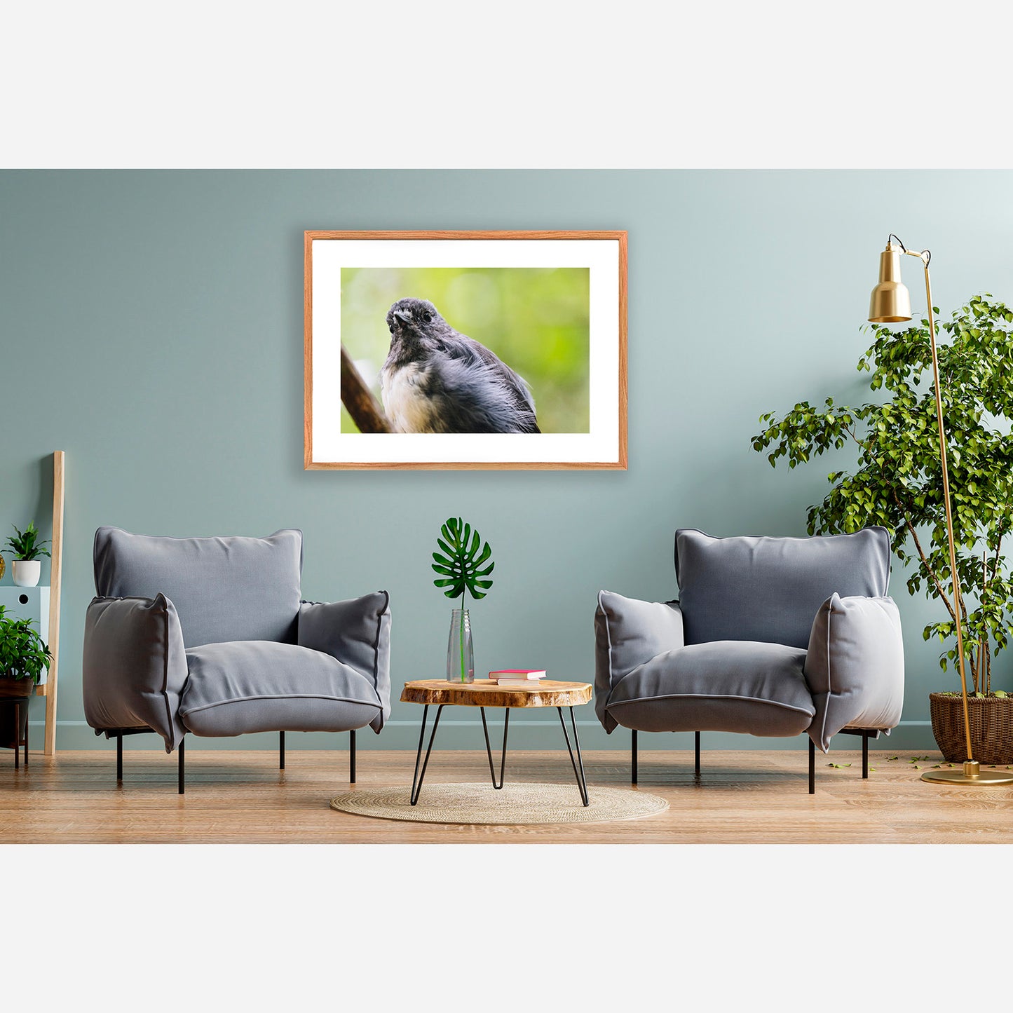 South Island Robin 2