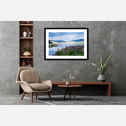 Lake Tekapo Lupins